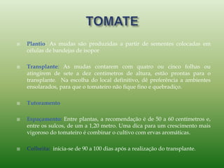  Plantio: As mudas são produzidas a partir de sementes colocadas em
células de bandejas de isopor
 Transplante: As mudas contarem com quatro ou cinco folhas ou
atingirem de sete a dez centímetros de altura, estão prontas para o
transplante. Na escolha do local definitivo, dê preferência a ambientes
ensolarados, para que o tomateiro não fique fino e quebradiço.
 Tutoramento
 Espaçamento: Entre plantas, a recomendação é de 50 a 60 centímetros e,
entre os sulcos, de um a 1,20 metro. Uma dica para um crescimento mais
vigoroso do tomateiro é combinar o cultivo com ervas aromáticas.
 Colheita: inicia-se de 90 a 100 dias após a realização do transplante.
 