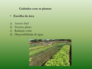 Cuidados com as plantas
• Escolha da área
a) Acesso fácil
b) Terreno plano
c) Radiação solar
d) Disponibilidade de água
 
