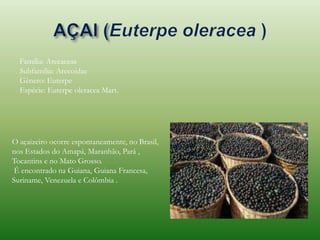 Família: Arecaceae
Subfamília: Arecoidae
Gênero: Euterpe
Espécie: Euterpe oleracea Mart.
O açaizeiro ocorre espontaneamente, no Brasil,
nos Estados do Amapá, Maranhão, Pará ,
Tocantins e no Mato Grosso.
É encontrado na Guiana, Guiana Francesa,
Suriname, Venezuela e Colômbia .
 
