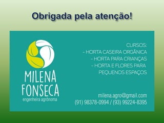 PLANTAS AMAZONICAS.ppt