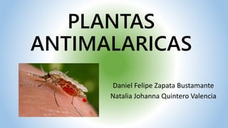 PLANTAS
ANTIMALARICAS
Daniel Felipe Zapata Bustamante
Natalia Johanna Quintero Valencia
 