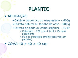 PLANTIOPLANTIO
• ADUBAÇÃO
• Calcário dolomítico ou magnesiano – 600g
• Fosfato natural ou farinha de osso – 900 g
• Esterco de gado ou comp orgânico – 12 lit
» Cobertura – 120 g de 4-14-8 + Zn após
pegamento
» 90 g de sulfato de amônio cada vez (em
parcelas)
• COVA 40 x 40 x 40 cm
 