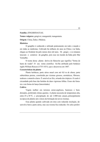 35

Família: ZINGIBERACEAE.
Nomes vulgares: gengivre; mangaratiá; mangarataia.
Origem: China, Índia e Malásia.
Histórico
       O gengibre é conhecido e utilizado praticamente em todo o mundo e
em todas as medicinas. Cultivado há milhares de anos na China e na Índia,
chegou ao Ocidente há pelo menos dois mil anos. Os gregos e os romanos
taxavam o comércio do gengibre, pois esse era trazido da Índia pelo Mar
Vermelho.
      O nome dessa planta deriva do Sânscrito que significa "forma de
haste de veado". O seu nome científico foi-lhe atribuído pelo botânico
inglês William Roscoe (1753-1831), que a descreveu em 1807.
Características da planta
      Planta herbácea, parte aérea anual com até 0,8 m de altura; parte
subterrânea perene, constituída por rizomas grossos, aromáticos, fibrosos,
nodosos e amarelo-claros. É sensível ao frio, oriunda dos trópicos. O caule é
circundado pela base das bainhas de duas vigorosas folhas. Essas são linea-
res e em forma de lança (lanceoladas).
Cultivo
       Vegeta melhor em terrenos areno-argilosos, humosos e bem-
drenados, preferindo climas quentes. A planta necessita de temperatura alta,
entre 25 a 30 ºC, e precipitação de até 2.000 mm anuais, principalmente
na época do plantio até o início da formação de novos rizomas.
       Essa planta quando cultivada em área com reduzida insolação, de-
senvolve bem a parte aérea, mas seu rizoma fica reduzido. Os solos preferi-
 
