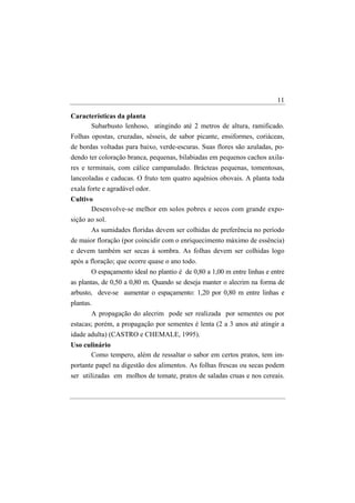 11

Características da planta
      Subarbusto lenhoso, atingindo até 2 metros de altura, ramificado.
Folhas opostas, cruzadas, sésseis, de sabor picante, ensiformes, coriáceas,
de bordas voltadas para baixo, verde-escuras. Suas flores são azuladas, po-
dendo ter coloração branca, pequenas, bilabiadas em pequenos cachos axila-
res e terminais, com cálice campanulado. Brácteas pequenas, tomentosas,
lanceoladas e caducas. O fruto tem quatro aquênios obovais. A planta toda
exala forte e agradável odor.
Cultivo
       Desenvolve-se melhor em solos pobres e secos com grande expo-
sição ao sol.
       As sumidades floridas devem ser colhidas de preferência no período
de maior floração (por coincidir com o enriquecimento máximo de essência)
e devem também ser secas à sombra. As folhas devem ser colhidas logo
após a floração; que ocorre quase o ano todo.
       O espaçamento ideal no plantio é de 0,80 a 1,00 m entre linhas e entre
as plantas, de 0,50 a 0,80 m. Quando se deseja manter o alecrim na forma de
arbusto, deve-se aumentar o espaçamento: 1,20 por 0,80 m entre linhas e
plantas.
       A propagação do alecrim pode ser realizada por sementes ou por
estacas; porém, a propagação por sementes é lenta (2 a 3 anos até atingir a
idade adulta) (CASTRO e CHEMALE, 1995).
Uso culinário
      Como tempero, além de ressaltar o sabor em certos pratos, tem im-
portante papel na digestão dos alimentos. As folhas frescas ou secas podem
ser utilizadas em molhos de tomate, pratos de saladas cruas e nos cereais.
 
