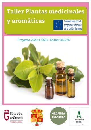 1
Taller Plantas medicinales
y aromáticas
ORGANIZA
COLABORA
Proyecto 2020-1-ES01- KA104-081276
Proyecto 2020-1-ES01- KA104-081276
 