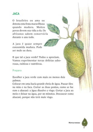 JACA

O brasileiro ou ama ou
detesta esta fruta maravilhosa
quando madura. Muitos
povos devem sua vida a ela. Os
africanos sabem conservá-la
durante o ano todo.

A jaca é quase sempre
consumida madura. Pode
ser mole ou dura.

E que tal a jaca verde? Todos a apreciam.
Vamos experimentar novas delícias sabo-
rosas, exóticas e nutritivas.

Preparo

Escolher a jaca verde com mais ou menos dois
palmos.
Colocar em uma bacia grande cheia de água. Passar óleo
na mão e na faca. Cortar as duas pontas, como se faz
com o abacaxi: a água dissolve o visgo. Cortar a jaca ao
meio e deixar na água, por 10 minutos. Descascar como
abacaxi, porque não terá mais visgo.




                                                   HORTAS PERENES   37
 