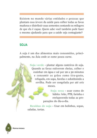 Plantas  Aromaticas E  Horta