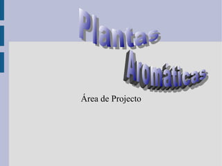 Área de Projecto Plantas  Aromáticas 