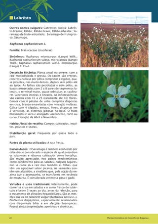 PLANTAS AROMÁTICAS MEDICINAIS.pdf