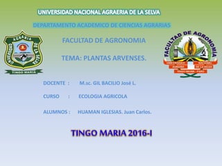 DEPARTAMENTO ACADEMICO DE CIENCIAS AGRARIAS
FACULTAD DE AGRONOMIA
TEMA: PLANTAS ARVENSES.
DOCENTE : M.sc. GIL BACILIO José L.
CURSO : ECOLOGIA AGRICOLA
ALUMNOS : HUAMAN IGLESIAS. Juan Carlos.
TINGO MARIA 2016-I
 