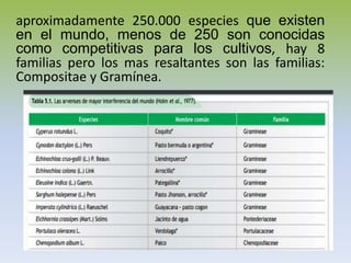 aproximadamente 250.000 especies que existen
en el mundo, menos de 250 son conocidas
como competitivas para los cultivos, hay 8
familias pero los mas resaltantes son las familias:
Compositae y Gramínea.
 