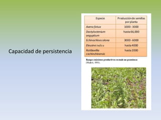 Capacidad de persistencia
 