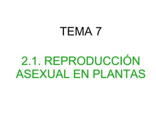 TEMA 7

 2.1. REPRODUCCIÓN
ASEXUAL EN PLANTAS
 