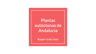 Plantas
autóctonas de
Andalucía
Raquel Ayala Nieto
 