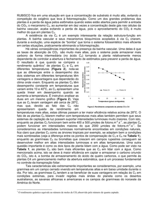 Figura 2. Rendimento comparado de plantas C3 e C4
0
0,01
0,02
0,03
0,04
0,05
0,06
0,07
0,08
0 10 20 30 40 50
Temperatura (graus centígrados)
RendimentoQuântico
(moldeCO2porquantumabsorvido)
Planta C3 Planta C4
RUBISCO fica em uma situação em que a concentração de substrato é muito alta, evitando a
competição do oxigênio que leva à fotorrespiração. Como um dos grandes problemas das
plantas é a perda de água pelos estômatos quando estes estão abertos para permitir a entrada
do CO2, o mecanismo C4, ao aumentar em dez vezes a concentração deste gás nas células da
bainha vascular, acaba evitando a perda de água, pois o aproveitamento do CO2 é muito
melhor do que em plantas C3.
A existência da via C4 é um exemplo interessante da relação estrutura-função em
plantas. A bainha vascular e seus mecanismos bioquímicos acoplados à via C3 criaram,
durante a evolução, uma espécie de “bomba” que torna o sistema fotossintético mais eficiente
em certas situações, praticamente eliminando a fotorrespiração.
Há várias conseqüências importantes da presença da bainha vascular. Uma delas é que
as taxas de absorção de CO2 são muito mais altas, pois o sistema pode armazenar mais
carbono de forma intermediária (no ácido C4) tornando a planta relativamente menos
dependente de controlar a abertura e fechamento de estômatos para prevenir a perda de água.
O resultado é que quando se compara o
rendimento quântico1
de plantas C3 e C4 em
diferentes temperaturas (Figura 2), nota-se
que as diferenças entre o desempenho dos
dois sistemas em diferentes temperaturas têm
vantagens e desvantagens que dependerão do
clima onde vivem. Enquanto as plantas C4 têm
desempenho constante em temperaturas que
variam entre 10 e 40o
C, as C3 apresentam uma
queda linear em desempenho quando se
aumenta a temperatura. É instrutivo analisar as
duas em um mesmo gráfico (Figura 2). Veja
que as C3 levam vantagem até cerca de 28o
C,
mas que, devido ao fato das C4 não
apresentarem queda de rendimento em
temperaturas mais altas, estas últimas passam a ter maior eficiência relativa acima de 28o
C. O
fato de as plantas C4 lidarem melhor com temperaturas mais altas também permitem que seus
sistemas de captação de luz possam suportar intensidades luminosas muito maiores. Com isto,
enquanto as plantas C3 funcionam bem entre 400 a 500 µmoles de fotons.m-2
.s-1
, as plantas C4
podem funcionar em intensidades maiores do que 2000 µmoles de fotons.m-2
.s-1
. Se
considerarmos as intensidades luminosas normalmente encontradas em condições naturais,
fica claro que plantas C3 como as árvores tropicais por exemplo, se adaptam bem a condições
mais sombreadas (veja a diferença entre os pontos de compensação de C3 e C4 na Tabela 1),
enquanto as gramíneas C4 ou bromélias que crescem em campos rupestres conseguem se
desenvolver melhor em altas intensidades luminosas e em altas temperaturas. Uma outra
questão importante é como os dois tipos de planta lidam com a água. Como pode ser visto na
Tabela 1, as plantas C4 são bem mais eficientes que as C3 em lidar com a água. Como
mencionado acima, isto se deve à maior eficiência em captar e armazenar o carbono oriundo
do CO2, isto é, a bomba de armazenamento do ácido de quatro carbonos, o que permite às
plantas C4 um gerenciamento melhor da abertura estomática, que é um processo fundamental
no controle da transpiração foliar.
Tais características são extremamente importantes se considerarmos, por exemplo, uma
gramínea em um campo cerrado vivendo em temperaturas altas e em baixa umidade durante o
dia. Por isto, as gramíneas C4 tendem a se beneficiar de suas vantagens em relação às C3 em
condições extremas, para invadir regiões mais áridas do planeta como os desertos
australianos, as savanas africanas e americanas e os campos de gramíneas do noroeste da
América do Norte.
1
O rendimento quântico equivale ao número de moles de CO2 absorvido pelo número de quanta captado.
 