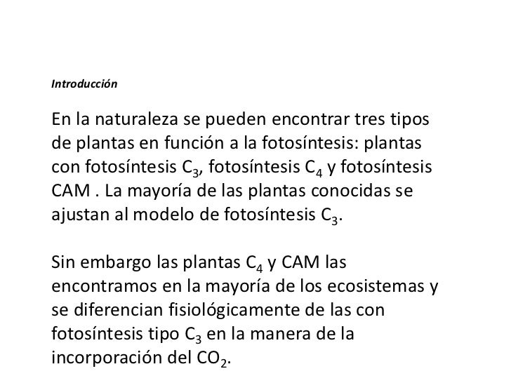 Fotosintesis C3 C4 Y Cam Ppt - 
