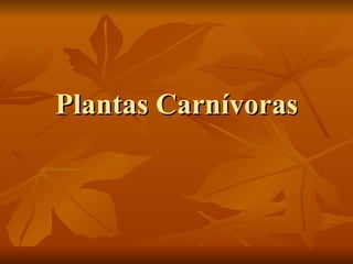 Plantas Carnívoras 