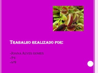 TRABALHO REALIZADO POR:

-JOANA ALVES GOMES
-5ºE
-Nº9
 