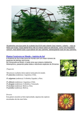 Atualmente uma boa parte do sudeste dos EUA está coberto (isso mesmo, coberto – veja as
fotos) por kudzu. Essa planta feroz não só cresce sobre as estruturas, como uma trepadeira
comum, mas destrói tudo o que estiver em seu caminho, estrangulando tudo em seu caminho.
Plantas Carnívoras no Mundo - América do Sul
A América do Sul é das zona do mundo com um maior número de
espécies de plantas carnívoras.
Da Venezuela ao Brasil, é nesta zona que cresce a belissíma
Heliamphora, passando pelas belas e adoráveis espécies de Droseras.
Pinguicula
São poucas as plantas desta espécie nesta parte do mundo.
P. antarctica (endémica): Argentina e Chile.
P. calyptrata (endémica): Colômbia, Equador, e Peru.
P. chilensis (endémica): Argentina e Chile.
P. elongata (endémica): Colômbia e Venezuela.
P. involuta (endémica): Bolívia e Peru.
P. jarmilae (endémica): Bolívia.
Drosera
Esta género encontra-se bem representado, algumas das espécies
encontradas são das mais belas.
 