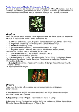 Plantas Carnívoras no Mundo - Norte e centro de África
O número de espécies de plantas carnívoras conhecidas em África, Madagáscar e as Ilhas
Seychelles são enormes, por esse motivo, exclui as plantas carnívoras que são encontradas
exclusivamente nos três países, a sul do continente: África do Sul, Lesoto e Suazilândia.
Genlisea
Cerca de metade destas espécies deste género ocorrem em África, todas são endémicas,
exceto a G. hispidula que também ocorre na África do Sul:
 G. africana (endémica): Angola, República Democrática do Congo, Zâmbia e Zimbabué.
 G. angolensis (endémica): Angola e República Democrática do Congo.
 G. barthlottii (endémica): Guiné.
 G. glandulosissima (endémica): República Democrática do Congo.
 G. hispidula: Nigéria, Camerões, República da África Central, Quenia, Malawi,
Moçambique, Tânzania, Zâmbia, Zimbabué África do Sul.
 G. margaretae (endémica): Madagáscar, Tânzania e Zâmbia.
 G. pallida (endémica): Angola e Zâmbia.
 G. stapfii (endémica): Burkina Faso, Cote d'Ivoire, Gabão, Guiné, Guiné-Bissau, Libéria,
Mali, Senegal, Serra Leoa, Angola, Camarões, República da África Central, República
Democrática do Congo.
 G. subglabra (endémica): República Democrática do Congo, Malawi, Ruanda-Burundi,
Tânzania e Zâmbia.
G. taylorii (endémica): Angola.
Drosera
Nesta parte do mundo, a Drosera está representada por espécies ainda pouco
compreendidas:
D. affinis (endémica): Angola, República Democrática do Congo, Malawi, Mozambique,
Tanzania, Zambia, and Zimbabwe.
D. bequaertii (endémica): Angola e República Democrática do Congo.
D. burkeana: Angola, República Democrática do Congo, Madagáscar, Malawi, Moçambique,
Tânzania, Uganda, Zâmbia, Zimbabué e África do Sul.
 