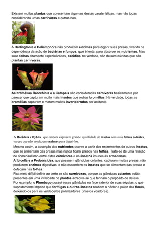 Existem muitas plantas que apresentam algumas destas caraterísticas, mas não todas
considerando umas carnivoras e outras nao.
A Darlingtonia e Heliamphora não produzem enzimas para digerir suas presas, ficando na
dependência da ação de bactérias e fungos, que é lenta, para absorver os nutrientes. Mas
suas folhas altamente especializadas, ascídios na verdade, não deixam dúvidas que são
plantas carnívoras.
As bromélias Brocchinia e a Catopsis são consideradas carnívoras basicamente por
parecer que capturam muito mais insetos que outras bromélias. Na verdade, todas as
bromélias capturam e matam muitos invertebrados por acidente.
A Roridula e Byblis , que embora capturem grande quantidade de insetos com suas folhas colantes,
parece que não produzem enzimas para digerí-los.
Mesmo assim, a absorção dos nutrientes ocorre a partir dos excrementos de outros insetos,
que se alimentam das presas mas nunca ficam presos nas folhas. Trata-se de uma relação
de comensalismo entre estas carnívoras e os insetos imunes às armadilhas.
A Ibicella e a Proboscidea, que possuem glândulas colantes, capturam muitas presas, não
produzem enzimas digestivas, e não escondem os insetos que se alimentam das presas e
defecam nas folhas.
Fica meio difícil definir ao certo se são carnívoras, porque as glândulas colantes estão
presentes em uma infinidade de plantas acredita-se que tenham o propósito de defesa.
Por exemplo, o Plumbago possui essas glândulas na face exterior de suas sépalas, o que
supostamente impede que formigas e outros insetos roubem o néctar e pólen das flores,
deixando-os para os verdadeiros polinizadores (insetos voadores).
 