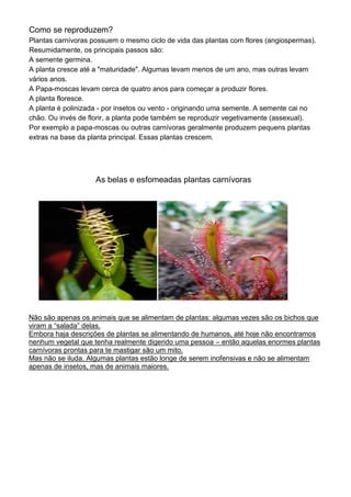 Como se reproduzem?
Plantas carnívoras possuem o mesmo ciclo de vida das plantas com flores (angiospermas).
Resumidamente, os principais passos são:
A semente germina.
A planta cresce até a "maturidade". Algumas levam menos de um ano, mas outras levam
vários anos.
A Papa-moscas levam cerca de quatro anos para começar a produzir flores.
A planta floresce.
A planta é polinizada - por insetos ou vento - originando uma semente. A semente cai no
chão. Ou invés de florir, a planta pode também se reproduzir vegetivamente (assexual).
Por exemplo a papa-moscas ou outras carnívoras geralmente produzem pequens plantas
extras na base da planta principal. Essas plantas crescem.
As belas e esfomeadas plantas carnívoras
Não são apenas os animais que se alimentam de plantas: algumas vezes são os bichos que
viram a “salada” delas.
Embora haja descrições de plantas se alimentando de humanos, até hoje não encontramos
nenhum vegetal que tenha realmente digerido uma pessoa – então aquelas enormes plantas
carnívoras prontas para te mastigar são um mito.
Mas não se iluda. Algumas plantas estão longe de serem inofensivas e não se alimentam
apenas de insetos, mas de animais maiores.
 