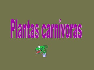 Plantas carnívoras 