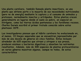 Una planta carnívora, también llamada planta insectívora, es una planta que obtiene parte o la mayoría de sus necesidades nutricionales (pero no de energía) mediante la captura y el consumo de animales y protozoos, normalmente insectos y artrópodos. Estas plantas crecen generalmente en lugares donde el suelo es pobre, en especial en nitrógeno, como las tierras ácidas pantanosas y los farallones rocosos. Charles Darwin escribió el primer tratado conocido sobre estas plantasen 1875 .  Los investigadores piensan que el hábito carnívoro ha evolucionado en, al menos, 10 linajes separados que se encuentran representados por más de una docena de géneros en cinco familias. Éstas incluyen alrededor de 625 especies que atraen y atrapan a sus presas, producen enzimas o bacterias digestivas y absorben los nutrientes resultantes. Además, más de 300 especies de plantas protocarnívoras en varios géneros muestran algunas, aunque no todas, de estas característica  
