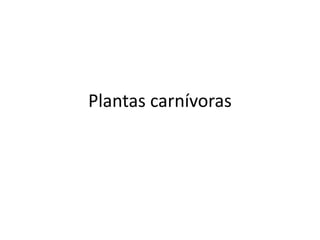 Plantas carnívoras
 