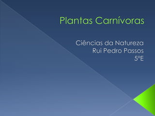 Plantas Carnívoras Ciências da Natureza Rui Pedro Passos 5ºE 
