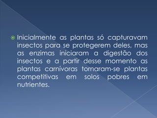    Inicialmente as plantas só capturavam
    insectos para se protegerem deles, mas
    as enzimas iniciaram a digestão dos
    insectos e a partir desse momento as
    plantas carnívoras tornaram-se plantas
    competitivas em solos pobres em
    nutrientes.
 