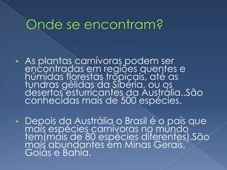   As plantas carnívoras podem ser
    encontradas em regiões quentes e
    húmidas florestas tropicais, até as
    tundras gélidas da Sibéria, ou os
    desertos esturricantes da Austrália..São
    conhecidas mais de 500 espécies.

   Depois da Austrália o Brasil é o país que
    mais espécies carnívoras no mundo
    tem(mais de 80 espécies diferentes).São
    mais abundantes em Minas Gerais,
    Goiás e Bahia.
 