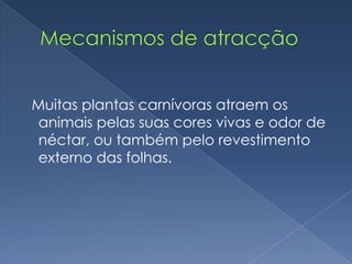 Muitas plantas carnívoras atraem os
 animais pelas suas cores vivas e odor de
 néctar, ou também pelo revestimento
 externo das folhas.
 