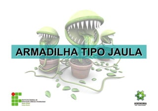 ARMADILHA TIPO JAULAARMADILHA TIPO JAULA
 