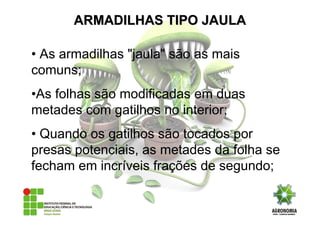 • As armadilhas "jaula" são as mais
comuns;
•As folhas são modificadas em duas
metades com gatilhos no interior;
• Quando os gatilhos são tocados por
presas potenciais, as metades da folha se
fecham em incríveis frações de segundo;
ARMADILHAS TIPO JAULAARMADILHAS TIPO JAULA
 