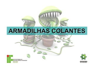 ARMADILHAS COLANTESARMADILHAS COLANTES
 