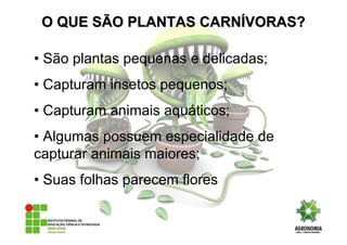 • São plantas pequenas e delicadas;
• Capturam insetos pequenos;
• Capturam animais aquáticos;
• Algumas possuem especialidade de
capturar animais maiores;
• Suas folhas parecem flores
O QUE SÃO PLANTAS CARNO QUE SÃO PLANTAS CARNÍÍVORAS?VORAS?
 
