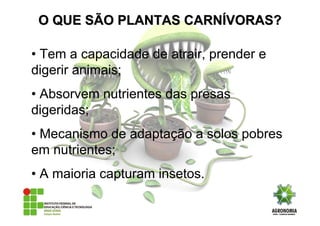 • Tem a capacidade de atrair, prender e
digerir animais;
• Absorvem nutrientes das presas
digeridas;
• Mecanismo de adaptação a solos pobres
em nutrientes;
• A maioria capturam insetos.
O QUE SÃO PLANTAS CARNO QUE SÃO PLANTAS CARNÍÍVORAS?VORAS?
 