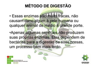 • Essas enzimas são muito fracas, não
causam dano algum à pele humana ou
qualquer animal de médio à grande porte.
•Apenas algumas espécies não produzem
suas próprias enzimas. Elas dependem de
bactérias para a digestão de suas presas,
um processo bem mais lento.
MMÉÉTODO DE DIGESTÃOTODO DE DIGESTÃO
 