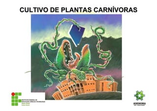 CULTIVO DE PLANTAS CARNCULTIVO DE PLANTAS CARNÍÍVORASVORAS
 