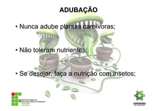 • Nunca adube plantas carnívoras;
• Não toleram nutrientes;
• Se desejar, faça a nutrição com insetos;
ADUBAADUBAÇÇÃOÃO
 