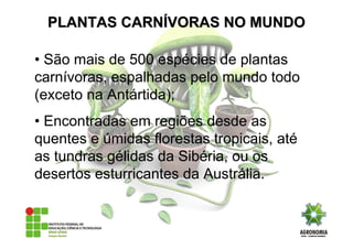 • São mais de 500 espécies de plantas
carnívoras, espalhadas pelo mundo todo
(exceto na Antártida);
• Encontradas em regiões desde as
quentes e úmidas florestas tropicais, até
as tundras gélidas da Sibéria, ou os
desertos esturricantes da Austrália.
PLANTAS CARNPLANTAS CARNÍÍVORAS NO MUNDOVORAS NO MUNDO
 