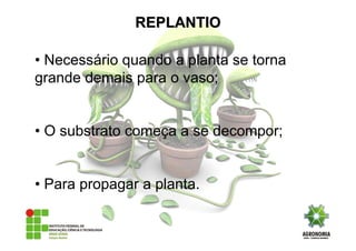 • Necessário quando a planta se torna
grande demais para o vaso;
• O substrato começa a se decompor;
• Para propagar a planta.
REPLANTIOREPLANTIO
 