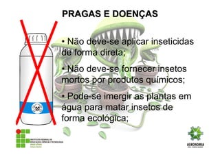 • Não deve-se aplicar inseticidas
de forma direta;
• Não deve-se fornecer insetos
mortos por produtos químicos;
• Pode-se imergir as plantas em
água para matar insetos de
forma ecológica;
PRAGAS E DOENPRAGAS E DOENÇÇASAS
 