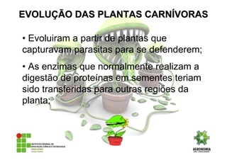 • Evoluiram a partir de plantas que
capturavam parasitas para se defenderem;
• As enzimas que normalmente realizam a
digestão de proteínas em sementes teriam
sido transferidas para outras regiões da
planta;
EVOLUEVOLUÇÇÃO DAS PLANTAS CARNÃO DAS PLANTAS CARNÍÍVORASVORAS
 