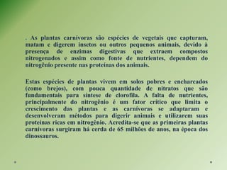 . As plantas carnívoras são espécies de vegetais que capturam,
matam e digerem insetos ou outros pequenos animais, devido à
presença de enzimas digestivas que extraem compostos
nitrogenados e assim como fonte de nutrientes, dependem do
nitrogênio presente nas proteínas dos animais.
Estas espécies de plantas vivem em solos pobres e encharcados
(como brejos), com pouca quantidade de nitratos que são
fundamentais para síntese de clorofila. A falta de nutrientes,
principalmente do nitrogênio é um fator crítico que limita o
crescimento das plantas e as carnívoras se adaptaram e
desenvolveram métodos para digerir animais e utilizarem suas
proteínas ricas em nitrogênio. Acredita-se que as primeiras plantas
carnívoras surgiram há cerda de 65 milhões de anos, na época dos
dinossauros.
 