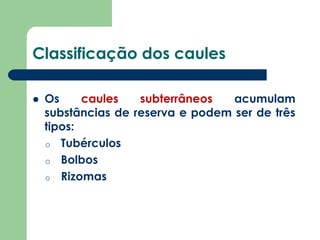 Classificação dos caules
 Os caules subterrâneos acumulam
substâncias de reserva e podem ser de três
tipos:
o Tubérculos
o Bolbos
o Rizomas
 