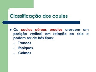 Classificação dos caules
 Os caules aéreos erectos crescem em
posição vertical em relação ao solo e
podem ser de três tipos:
o Troncos
o Espiques
o Colmos
 