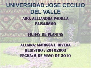 UNIVERSIDAD JOSE CECILIO DEL VALLE ARQ. ALEJANDRA PADILLA PAISAJISMO FICHAS DE PLANTAS  ALUMNA: MARISSA I. RIVERA REGISTRO : 20102003 FECHA: 5 DE MAYO DE 2010  