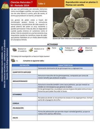 COLEGIO ENRIQUE OLAYA HERRERA – I.E.D. 
ÁREA DE CIENCIAS NATURALES – JORNADA DE LA MAÑANA 
Docente: Ricardo Rodríguez Salamanca 
Ciencias Naturales 7 
III - Período 2014 
Taller 2 
Reproducción sexual en plantas 2: 
Plantas con semilla 
Las que son polinizadas por animales nocturnos como murciélagos y polillas, son poco llamativas, son de color blanco o crema, pero de noche, el aroma que producen es fuerte y atrayente. 
Los granos de polen vistos a través del microscopio poseen formas y estructuras hermosísimas, características de cada especie. La pared externa del polen es muy resistente y pueden permanecer miles de años sin degradarse cuando queda inmerso en sustancias como el ámbar. Esto lo convierte en una herramienta muy importante cuando los científicos tratan de saber qué plantas habitaban en un medio determinado en una época remota. 
ACTIVIDAD 
*El trabajo de investigación se hace en hojas examen 
1. Complete la siguiente tabla: 
Realizar en el cuaderno 
Realizar en la guía 
Tarea 
Trabajo de investigación* 
Álbum de esquemas DEFINICIÓN CARACTERÍSTICAS Generación dominante de las gimnospermas y angiospermas 
GAMETOFITO HAPLOIDE 
Estructura masculina de las gimnospermas, compuesto por conos de menor tamaño que producen el polen. 
MEGAESPORANGIO 
Estructura conocida también como sacos polínicos, que por meiosis se dividen en microesporas que generan el polen. 
En las gimnospermas, se produce una vez el grano de polen entra al cono femenino para poder fecundar el óvulo. ESTAMBRES 
Receptáculo donde se encuentran los óvulos en las angiospermas. Forman parte del arquegonio de la flor. COROLA 
POLINIZACIÓN 
Forma de polinización que permite mayor variedad genética, ya que se realiza entre plantas diferentes. 
FRUTO 
Granos de Polen vistos en el microscopio electrónico  